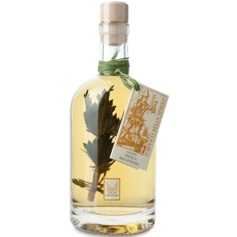 Villa Laviosa - Grappa mit Brennessel